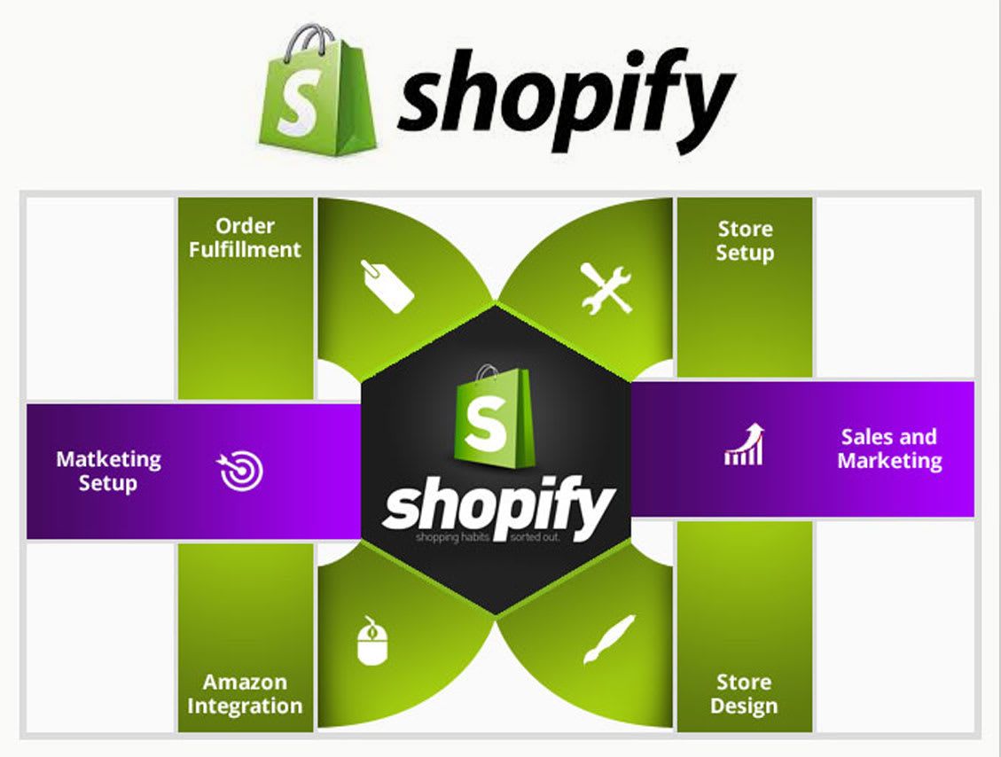 3346I will build passive income shopify dropshipping store or shopify website