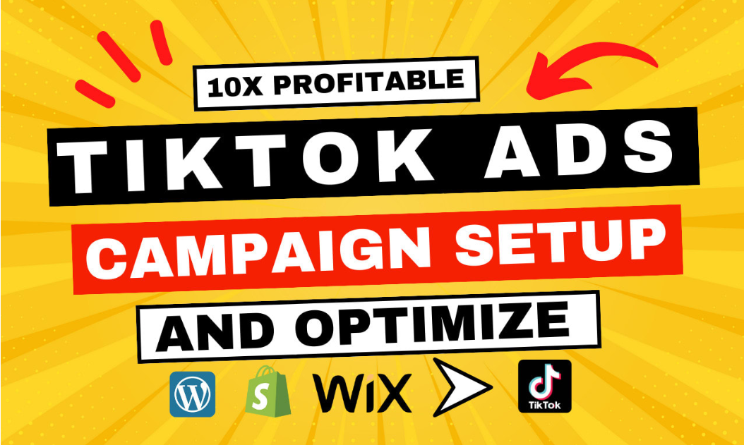 1954I will setup tik tok ads campaign, tik tok ads, manage tik tok ads video