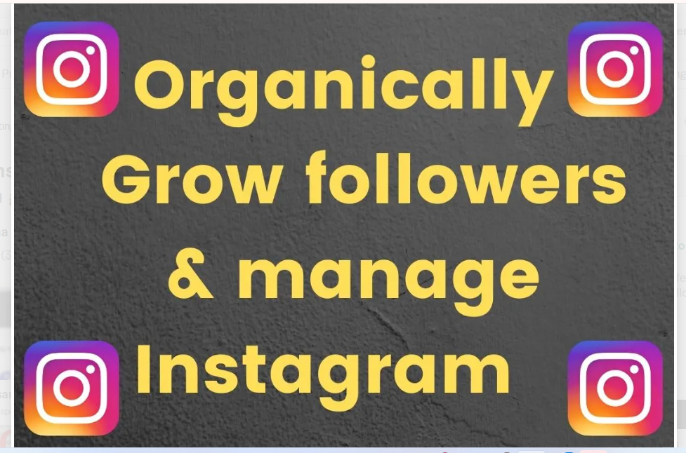 1137I will do instagram marketing for fast organic instagram growth
