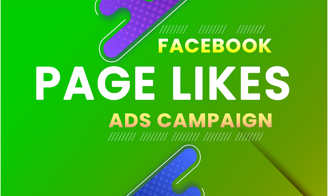 1687I will create a facebook ad campaign to grow your page likes