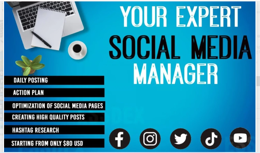1747I will be your social media marketing manager and content creator