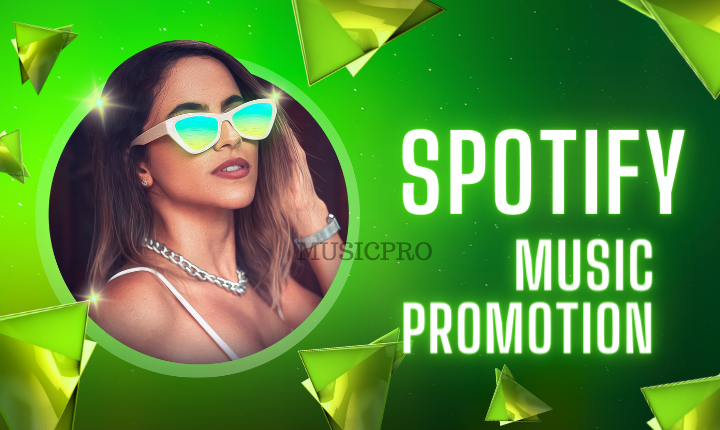 2746I will spotify music promotion USA spotify album promotion organically audience