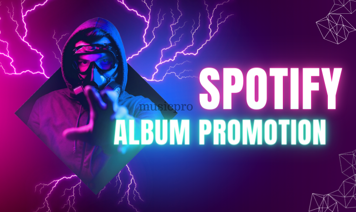 2756I will promote your spotify music album and make it go viral