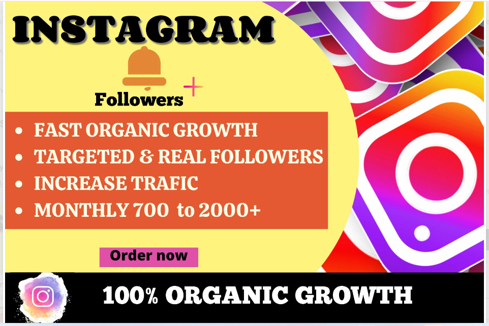 2459I will do super fast organic instagram growth