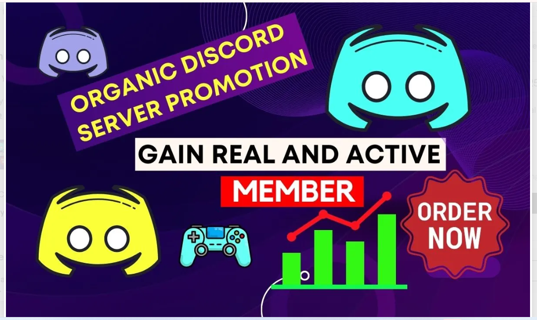 2411I will professional discord server growth, discord server promotion