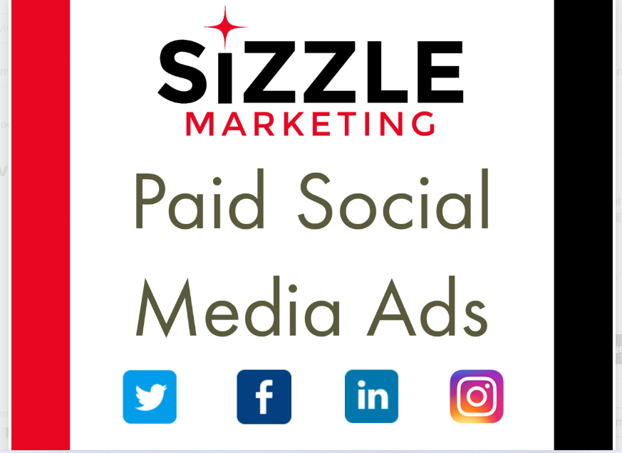 1788I will plan, develop and manage paid social media ad campaigns