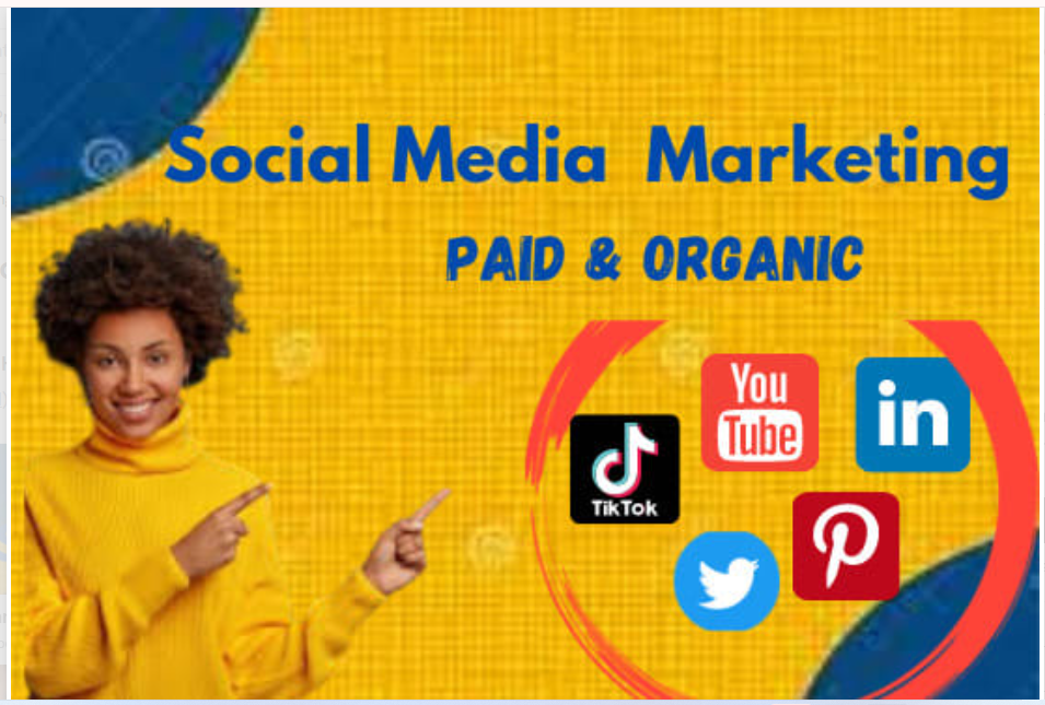 1823I will plan, develop and manage paid social media ad campaigns