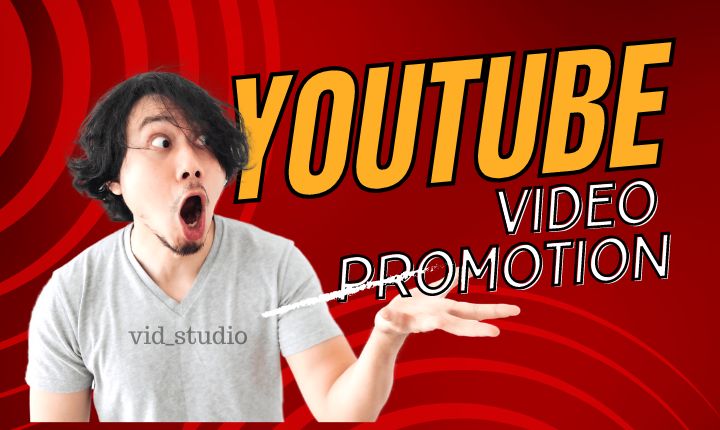 2923I will organically promote your youtube video and make it rank
