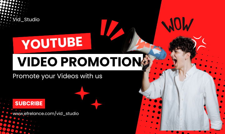 2925I will do organic youtube video promotion