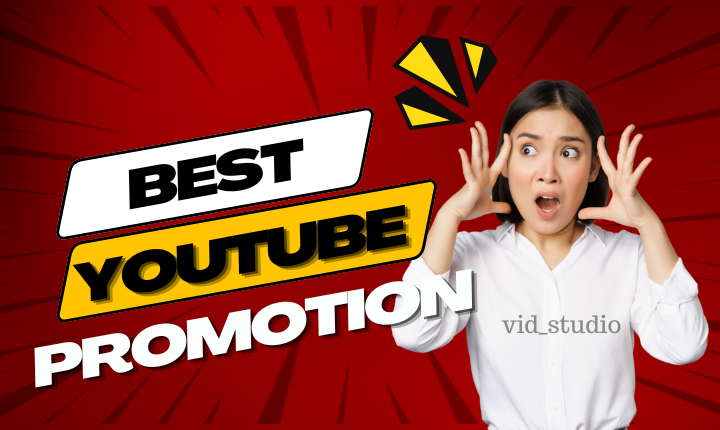 2931I will do organic youtube video promotion and channel monetization