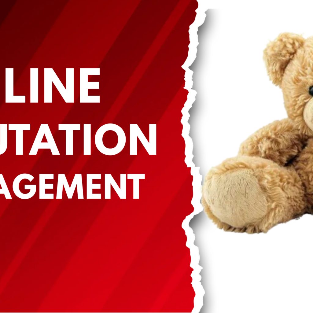 22405I will do online reputation management, ORM, services to suppress negative links